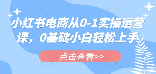 小红书电商从0-1实操运营课，0基础小白轻松上手-吾爱自习网