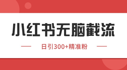 小红书截流同行客源，独家野路子获客玩法 日引200+暴力获客【揭秘】-吾爱自习网