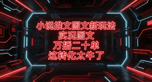 小说推文图文新玩法，实况图文，万播二十单，这转化太牛了！-吾爱自习网