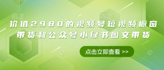 价值2980的视频号短视频橱窗带货和公众号小绿书图文带货-吾爱自习网