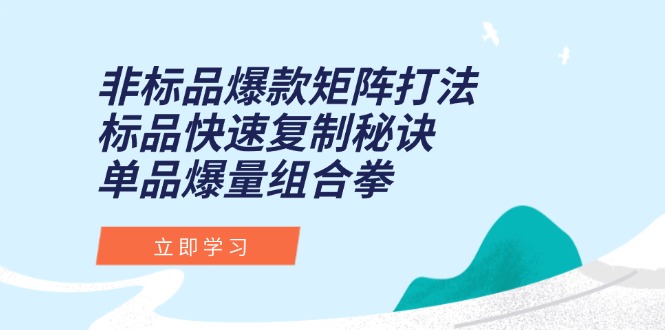 非标品爆款矩阵打法，标品快速复制秘诀，单品爆量组合拳-吾爱自习网