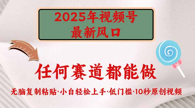 2025年视频号新风口，低门槛只需要无脑执行-吾爱自习网