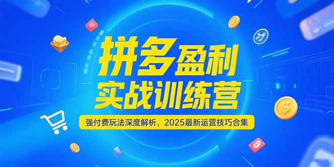拼多多盈利实战训练营，强付费玩法深度解析，2025运营技巧合集-更新6月-吾爱自习网