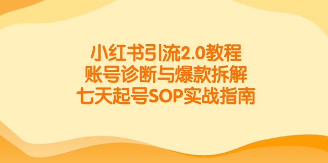 小红书引流2.0教程，账号诊断与爆款拆解，七天起号SOP实战指南-吾爱自习网