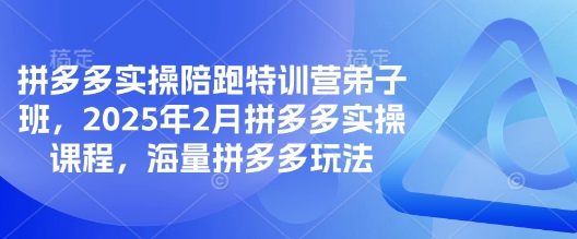 拼多多实操陪跑特训营弟子班，2025年2月拼多多实操课程，海量拼多多玩法-吾爱自习网