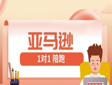 亚马逊1对1陪跑课(FBA/FBM精铺)跨境亚马逊教程-吾爱自习网