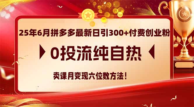 25年6月拼多多最新日引300+付费创业粉，0投流纯自热 卖课月变现六位数方法-吾爱自习网