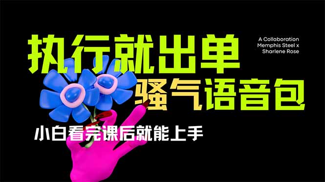 爆火全网的开车导航骚气语音包,只要执行就出单，小白看完课程就能实操…-吾爱自习网