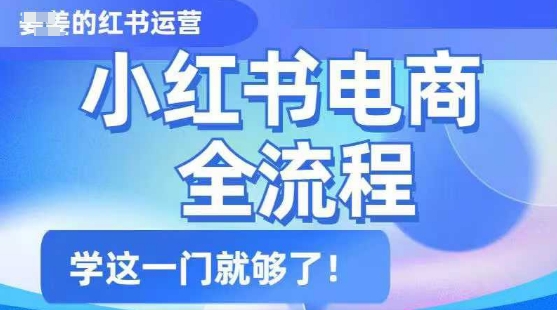 小红书电商全流程，精简易懂，从入门到精通，学这一门就够了-吾爱自习网