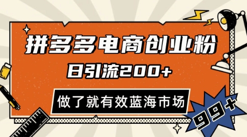 拼多多引流电商创业粉，日引200+，可矩阵放大，做了就有效【揭秘】-吾爱自习网