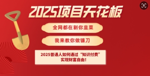 2025项目天花板普通人如何通过知识付费，实现财F自由【揭秘】-吾爱自习网